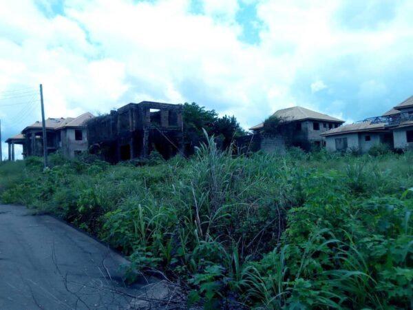 Buildings at various stages of development - Image 2